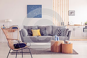 Two wooden block shape like coffee tables with kinck knacks in front of grey scandinavian sofa with pillows