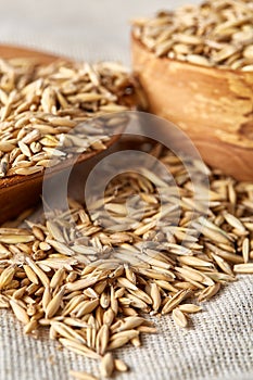 Two wooden bowls with oat groats on homespun tablecloth background, selective focus, close-up.