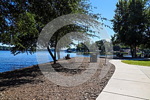 Two wooden lawn chairs on the banks of the lake with vast still blue lake water surrounded by lush green trees at Lake Peachtree