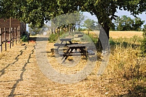 Two wooden picnic tables in the Italian countryside Umbria, Italy