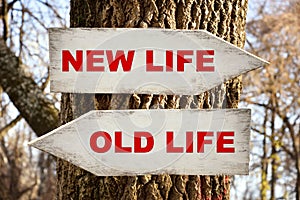 Two wooden signposts on a tree with new life and old life messages