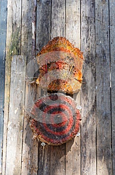 Two wooden targets for throwing knives on the fence