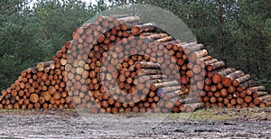 Two woodpiles behind each other.