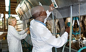Two workers near milking line