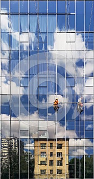 Two working climbers on a glass wall of a high-rise building