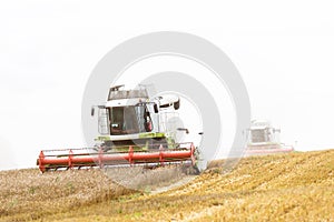 Two Working Harvesting Combine in the Field of Wheat