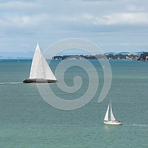 Two yachts in Hauraki Gulf