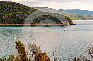 Two yahts floating near the scenic landscape of Cala Violina beach in Tyrrhenian Sea bay surrounded by green forest in province of