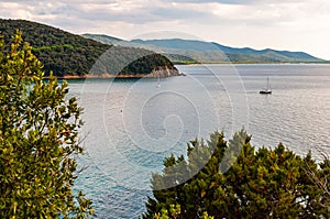 Two yahts floating near the scenic landscape of Cala Violina beach in Tyrrhenian Sea bay surrounded by green forest in province of