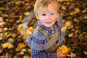 Two year old boy holding a gourde in New England fall