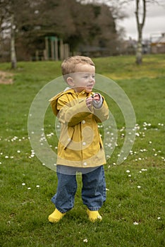 Two year old boy in yellow raincoat and welly boots playing outdoors