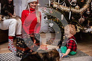 A two-year-old child sits on the floor and feeds a mongrel dog treats.