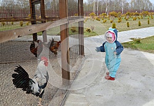 Two-year-old girl looks at a cock in a volver on the territory of a bird house photo