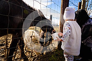 Two year old girl mother in farmland feeding farm animals