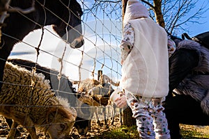 Two year old girl mother in farmland feeding farm animals