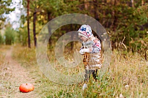 Two-year-old girl next to an orange pumpkin. walk in the forest photo