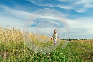 Two years old blonde toddler girl walking by foot on dirt road among cereal field