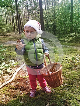 Two years old girl finding mushrooms in a forest