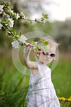 Two years old toddler girl and blossoming tree