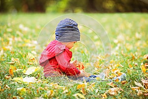 Two years old toddler have fun outdoor in autumn park