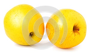 Two yellow apples on a white background