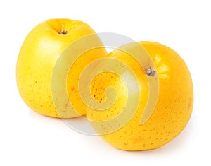 Two yellow apples on a white background