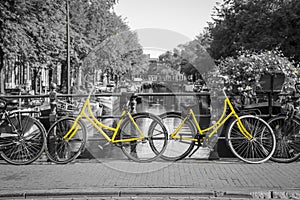 Two yellow bikes on the streets of Amsterdam