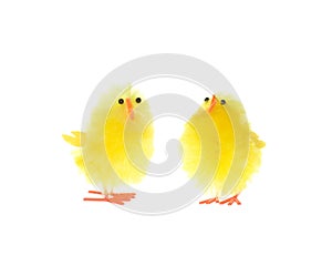 Two Yellow Chicks Isolated