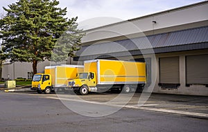 Two yellow different small rigs semi trucks with box trailers standing in warehouse dock and loading cargo for the next local