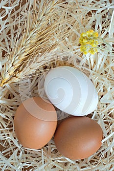 Two yellow eggs and one white egg, wheat and yellow flowers