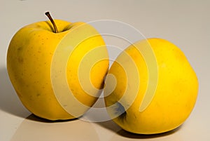 Two yellow juicy apples