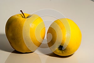 Two yellow juicy apples