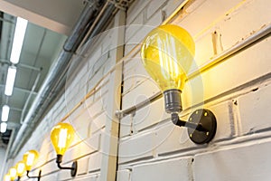 Two yellow neon light bulbs on white wall