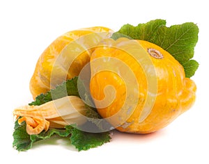 Two yellow pattypan squash with leaf and flower isolated on white background