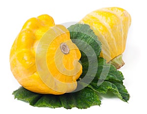 Two yellow pattypan squash with leaf isolated on white background