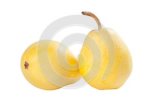 Two yellow pears