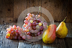 Two yellow pears and branch of ripe organic grapes on wooden background