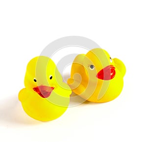Two yellow plastic toy Ducks