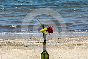 Two yellow and red flowers in a bottle near the sea