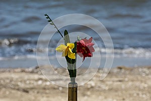 Two yellow and red flowers in a bottle near the sea