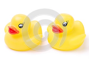 Two Yellow Rubber Ducks
