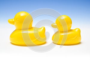 Two yellow rubber ducks