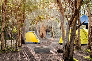 Two yellow tentss with gazebo canopy shelter at the campsite surrounding by nature on the river bank