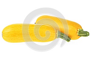 Two yellow zucchini isolated on white background. Yellow courgettes. Yellow squash