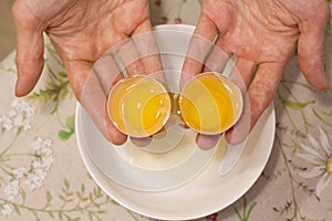 Two yolks in one egg. 2 in 1. Women`s hands open a unique egg with two yolks. The process of opening eggs for making cake,