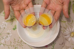Two yolks in one egg. 2 in 1. Women`s hands open a unique egg with two yolks. The process of opening eggs for making cake,