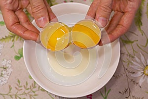 Two yolks in one egg. 2 in 1. Women`s hands open a unique egg with two yolks. The process of opening eggs for making cake,