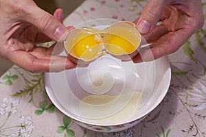 Two yolks in one egg. 2 in 1. Women`s hands open a unique egg with two yolks. The process of opening eggs for making cake,