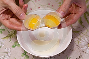 Two yolks in one egg. 2 in 1. Women`s hands open a unique egg with two yolks. The process of opening eggs for making cake,