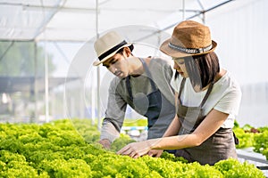 Two young Asian couple farmers working in vegetables hydroponic farm with happiness. Portrait of man and woman farmer checking qua